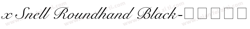 x Snell Roundhand Black字体转换